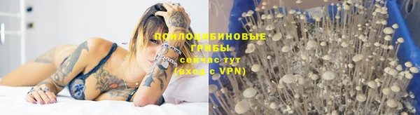 хмурый Беломорск