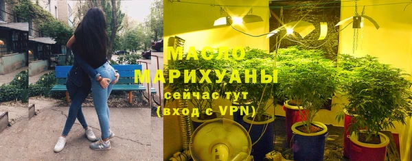 МДПВ Богородск