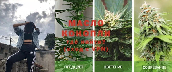 МДПВ Богородск