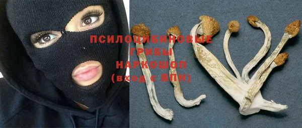 дмт Богородицк