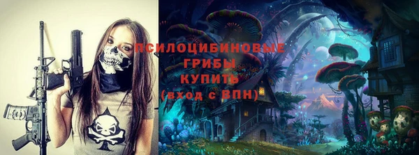 дмт Богородицк