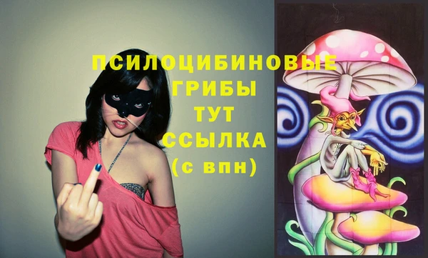 первитин Бородино