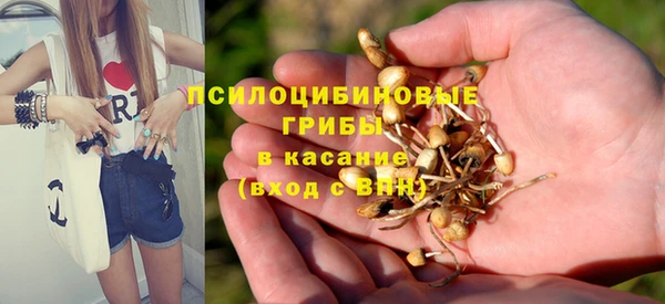 а пвп мука Богданович