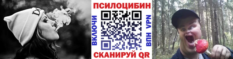 Галлюциногенные грибы Psilocybine cubensis Минеральные Воды